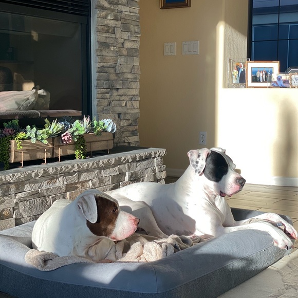 Make me an offer or bundle your likes - Picture 12 of 14